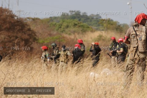 _MG_5719_resultado